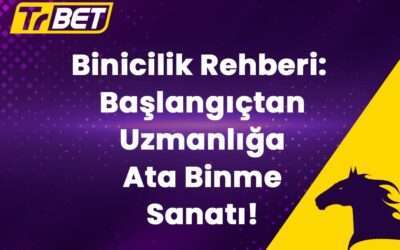Binicilik Rehberi: Başlangıçtan Uzmanlığa Ata Binme Sanatı!